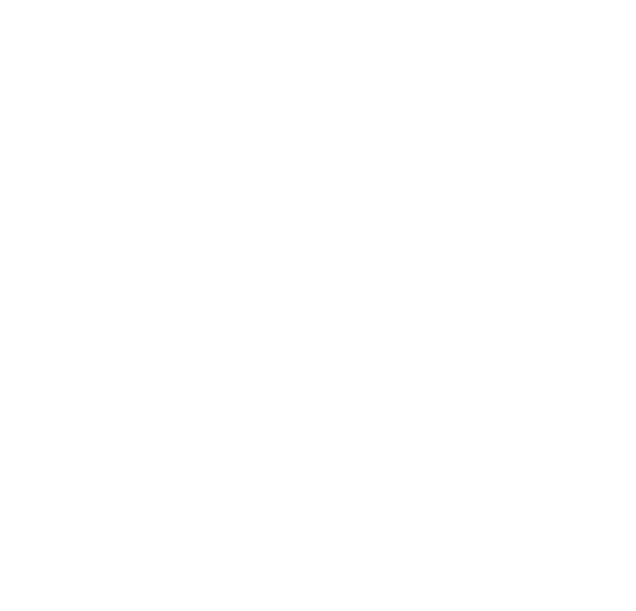 Mayfive-Ltd-Stevii-Campbell-text-1