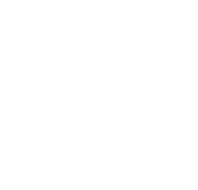 Mayfive-Ltd-Stevii-Campbell-text-2